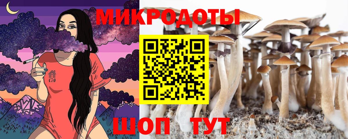 NBOMe  Вход с VPN  Alpha-PVP СК   Ефремов  Гашиш  МЕФ  