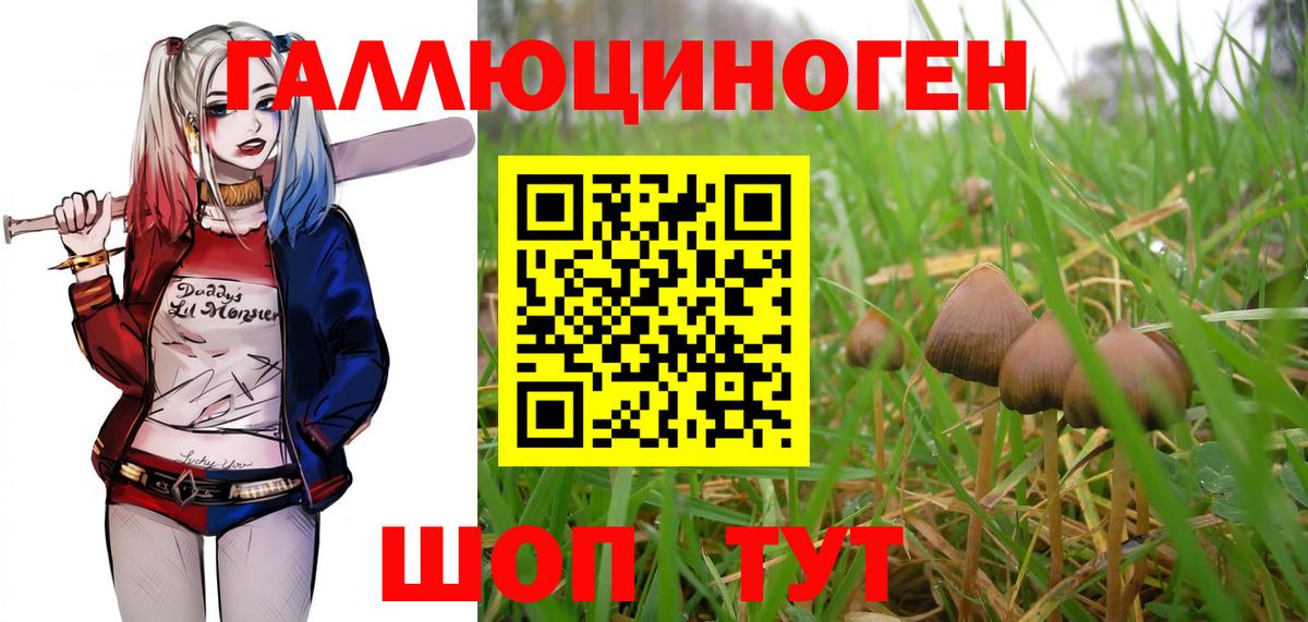Галлюциногенные грибы Magic Shrooms Ефремов